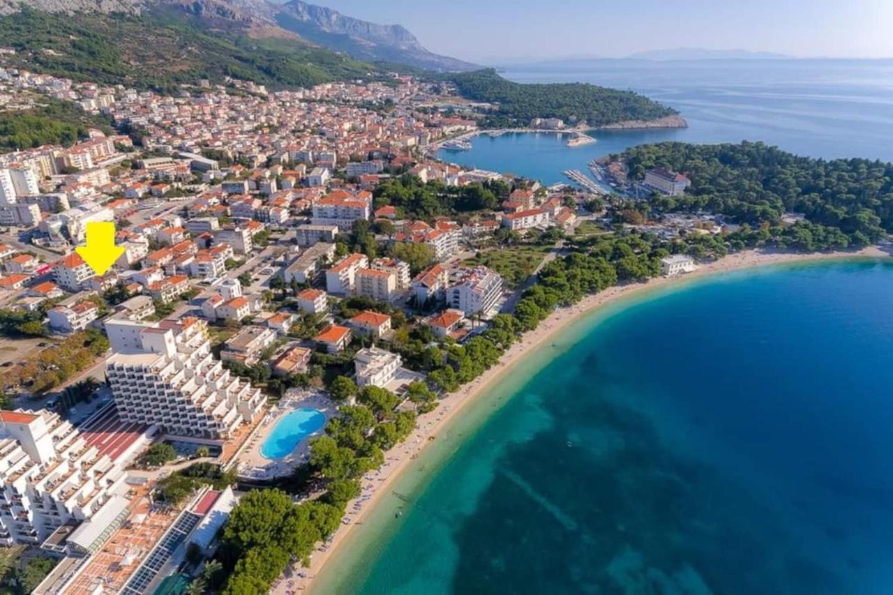 Obradovic & Maison d'hôtes *